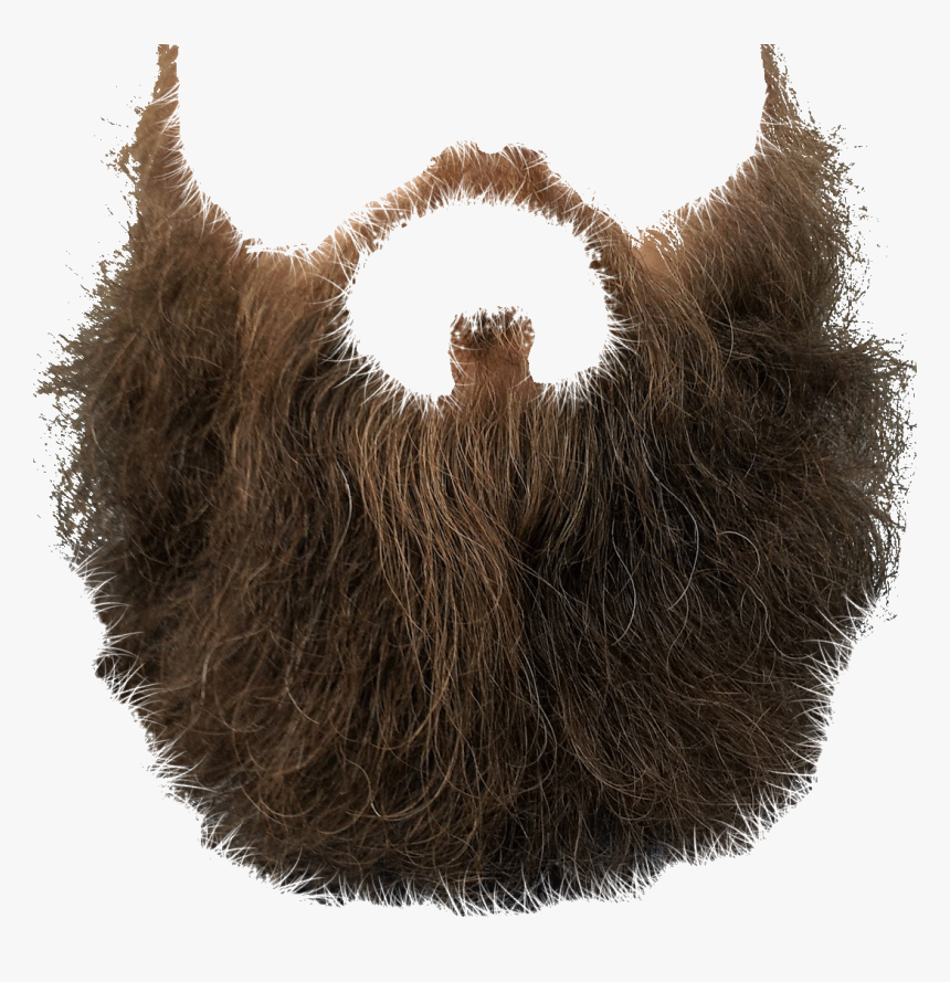 Mustache Brown Beard, HD Png Download, Free Download