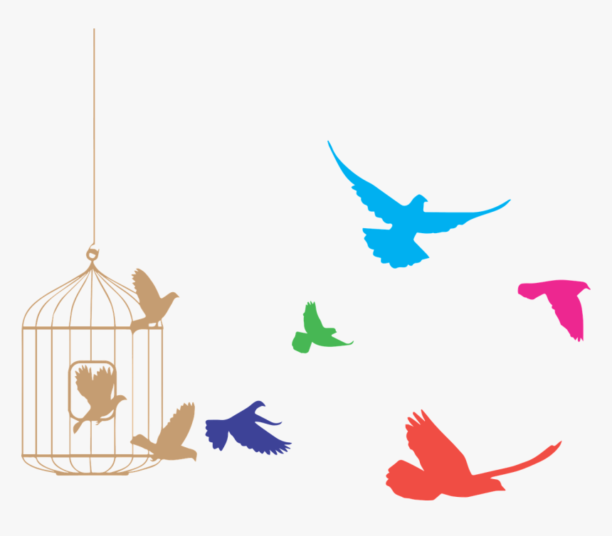 Birds Flying From Cage Clipart, HD Png Download, Free Download