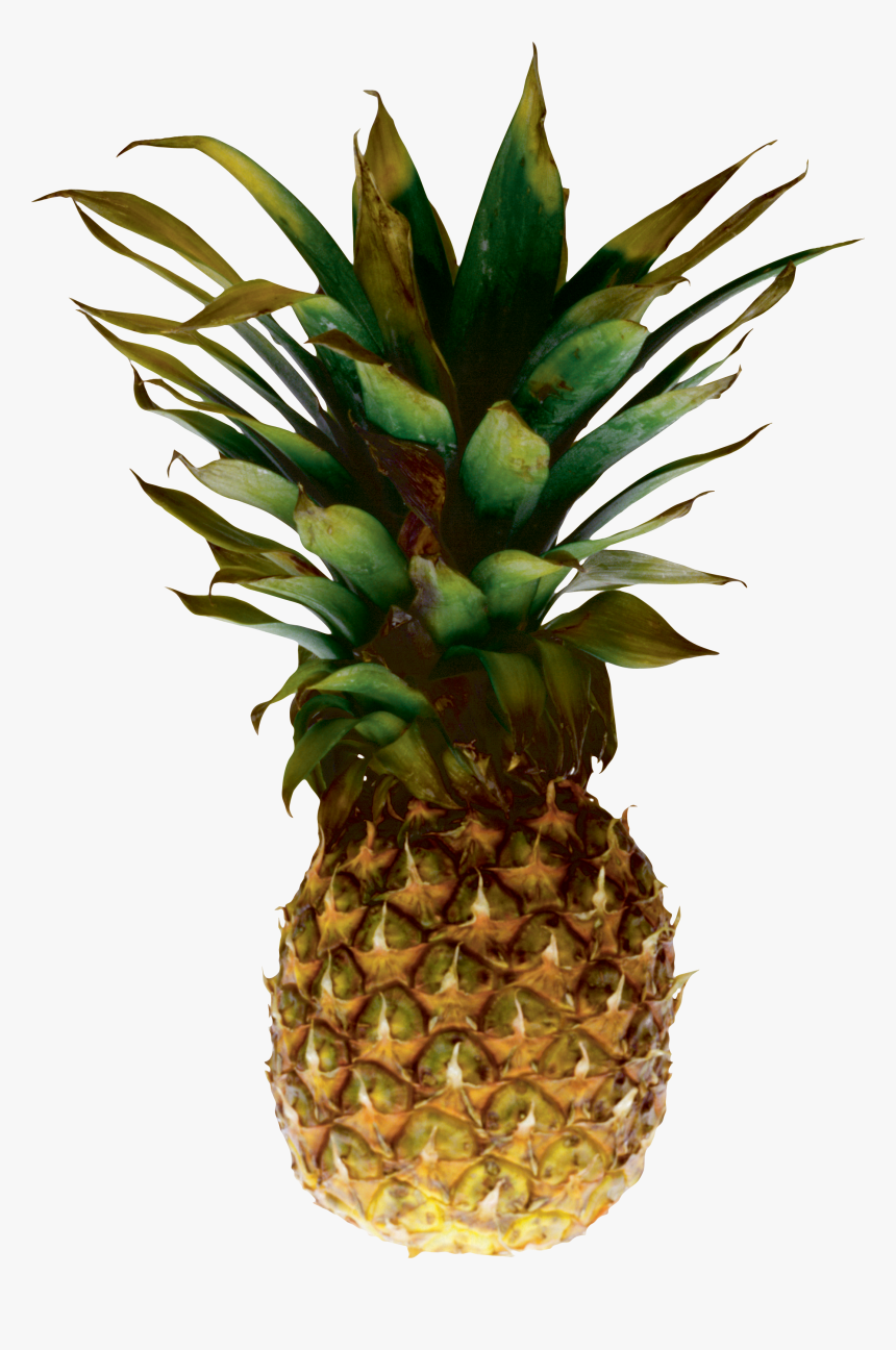 Pineapple Png Image, Free Download, Transparent Png, Free Download