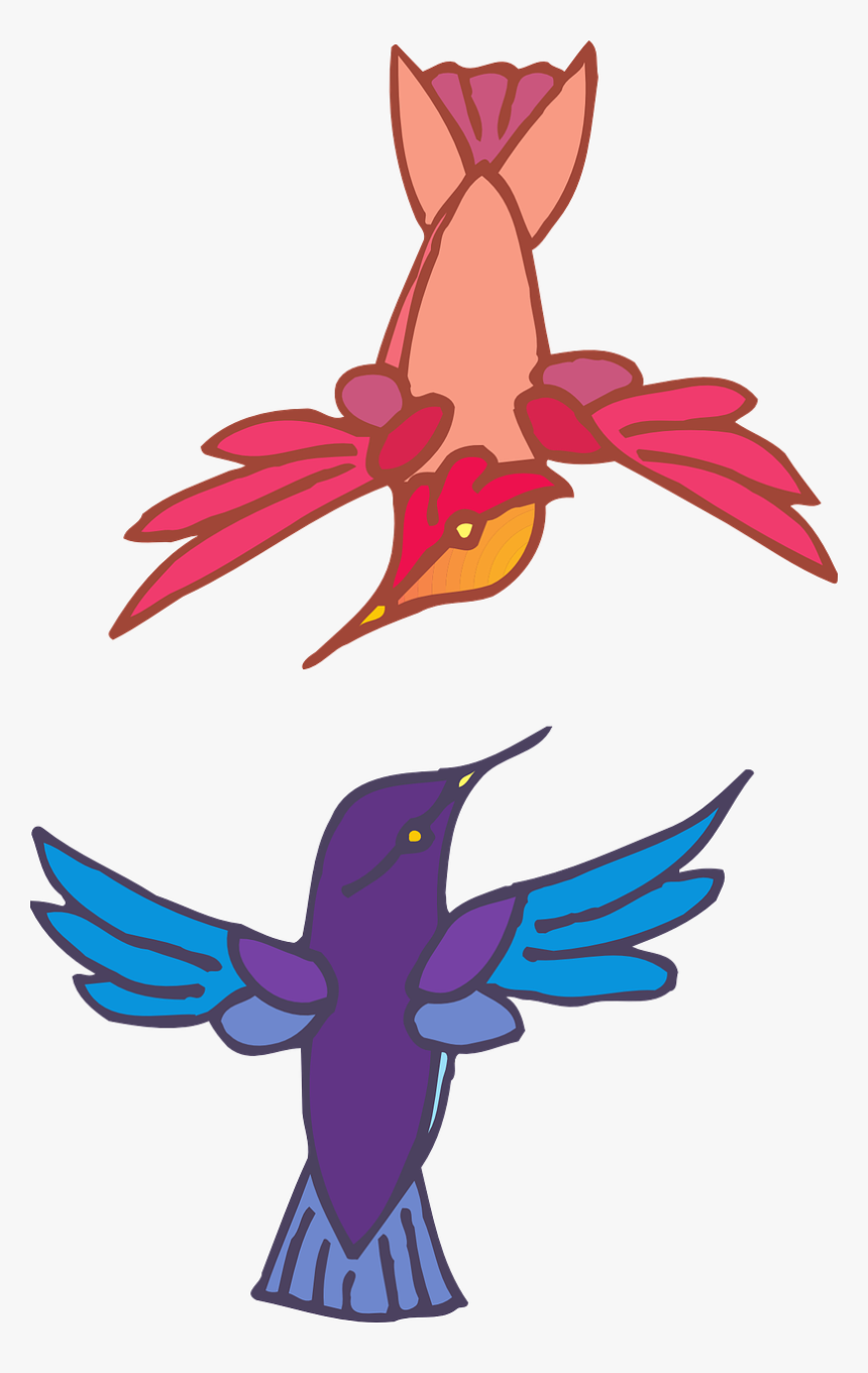 Two Birds Flying Colors Wings Png Image, Transparent Png, Free Download