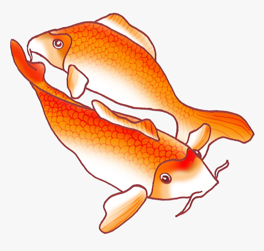 Koi Fish Png, Transparent Png, Free Download