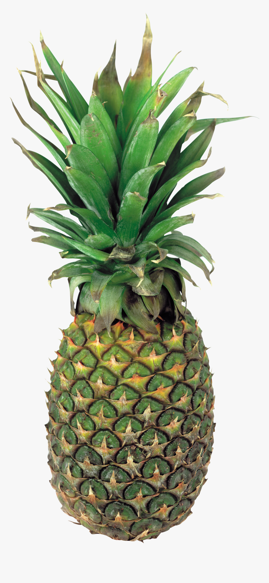 Pineapple Png Transparent, Png Download, Free Download