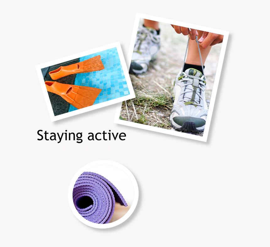 Snap Shots Of Activities, HD Png Download, Free Download