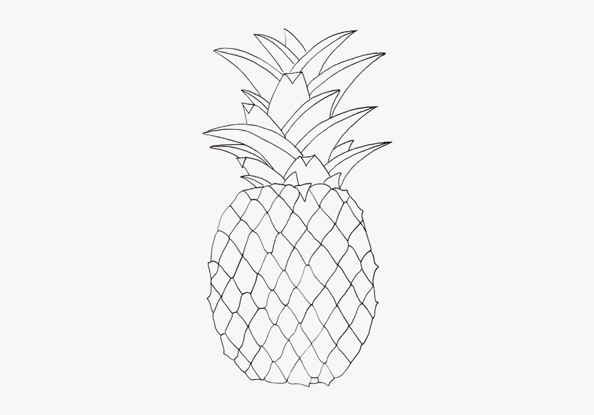 Drawing It Pineapple, HD Png Download, Free Download