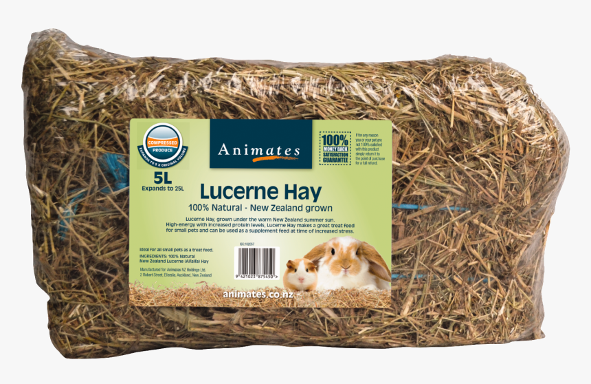 Hay,small Animal Food,guinea Pig,grass,pet Supply,rodent,bird, HD Png Download, Free Download