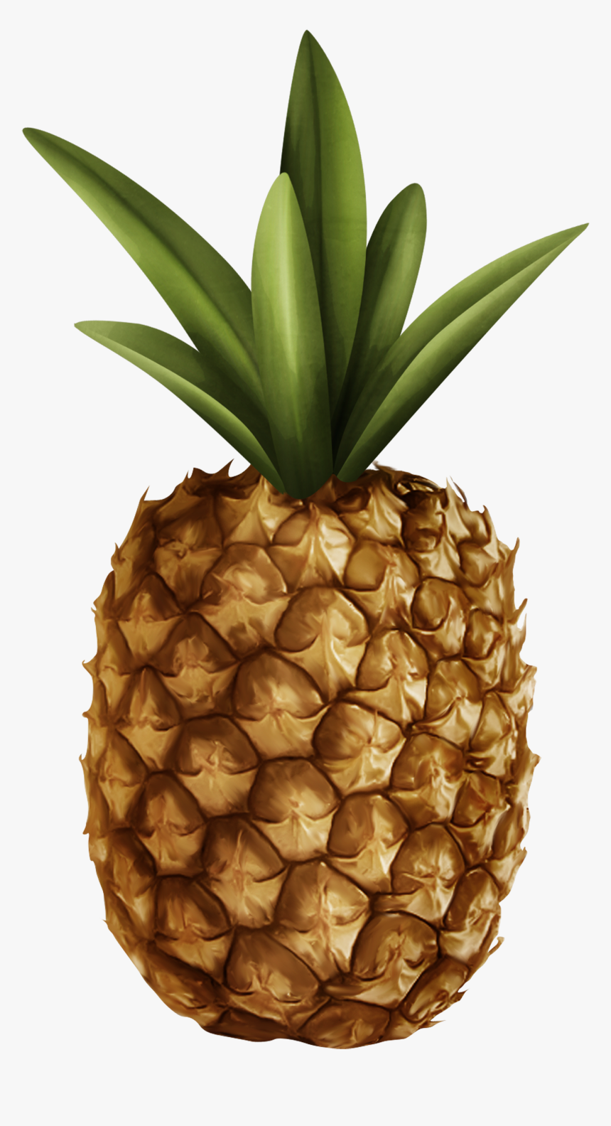 Pineapple Png Clipart, Transparent Png, Free Download