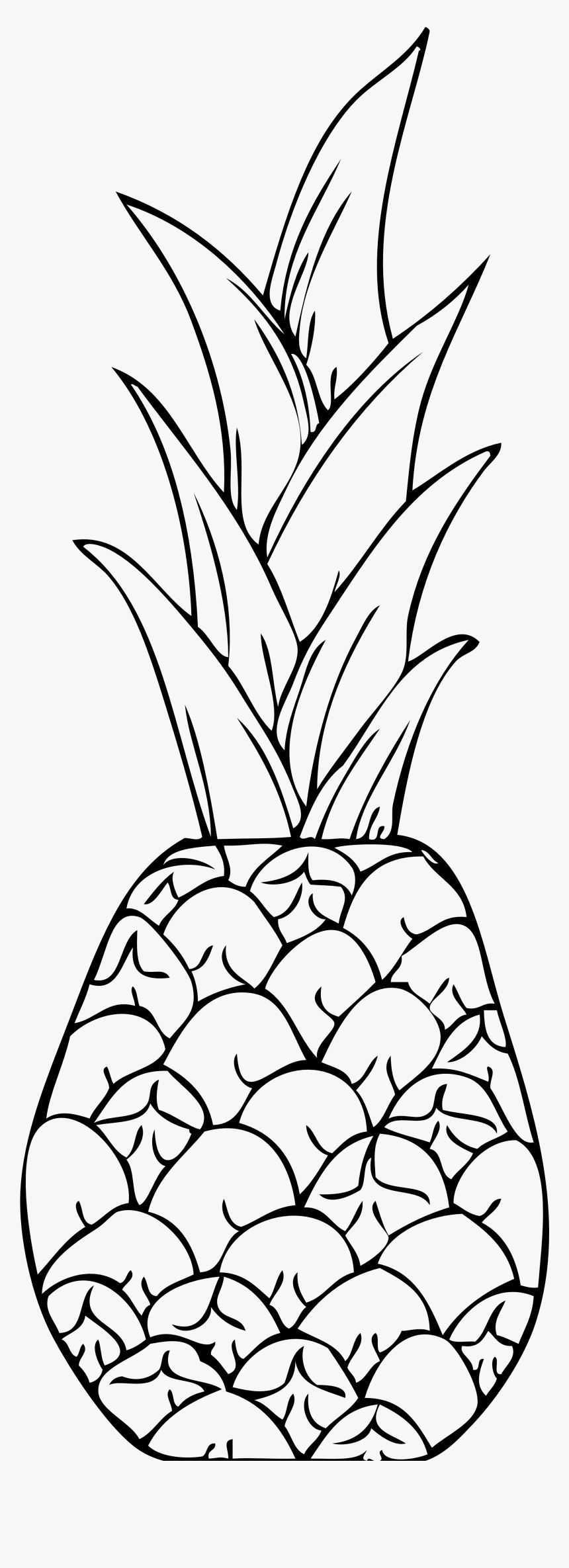 Clip Art Panda Free, HD Png Download, Free Download