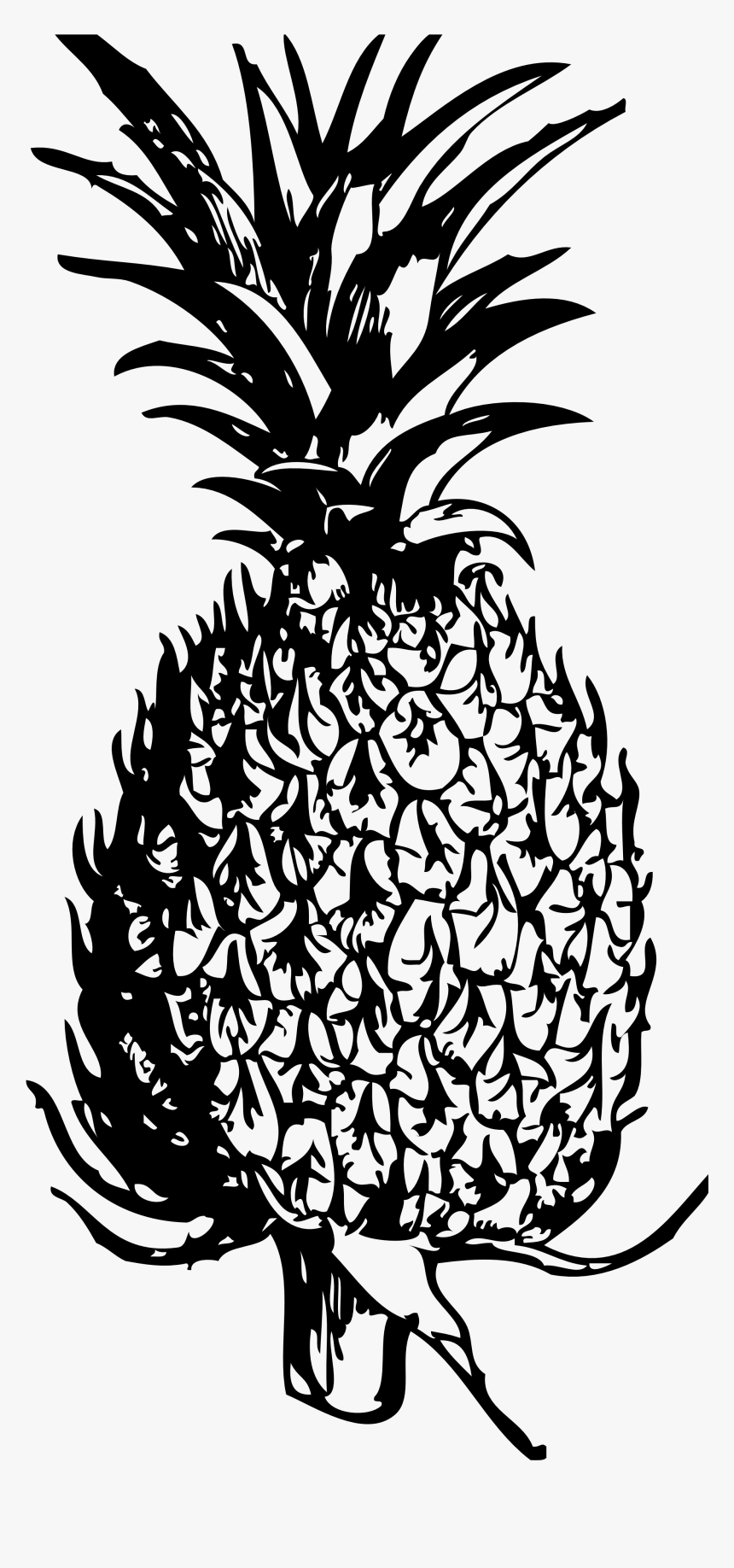 Drawn Pineapple Transparent, HD Png Download, Free Download