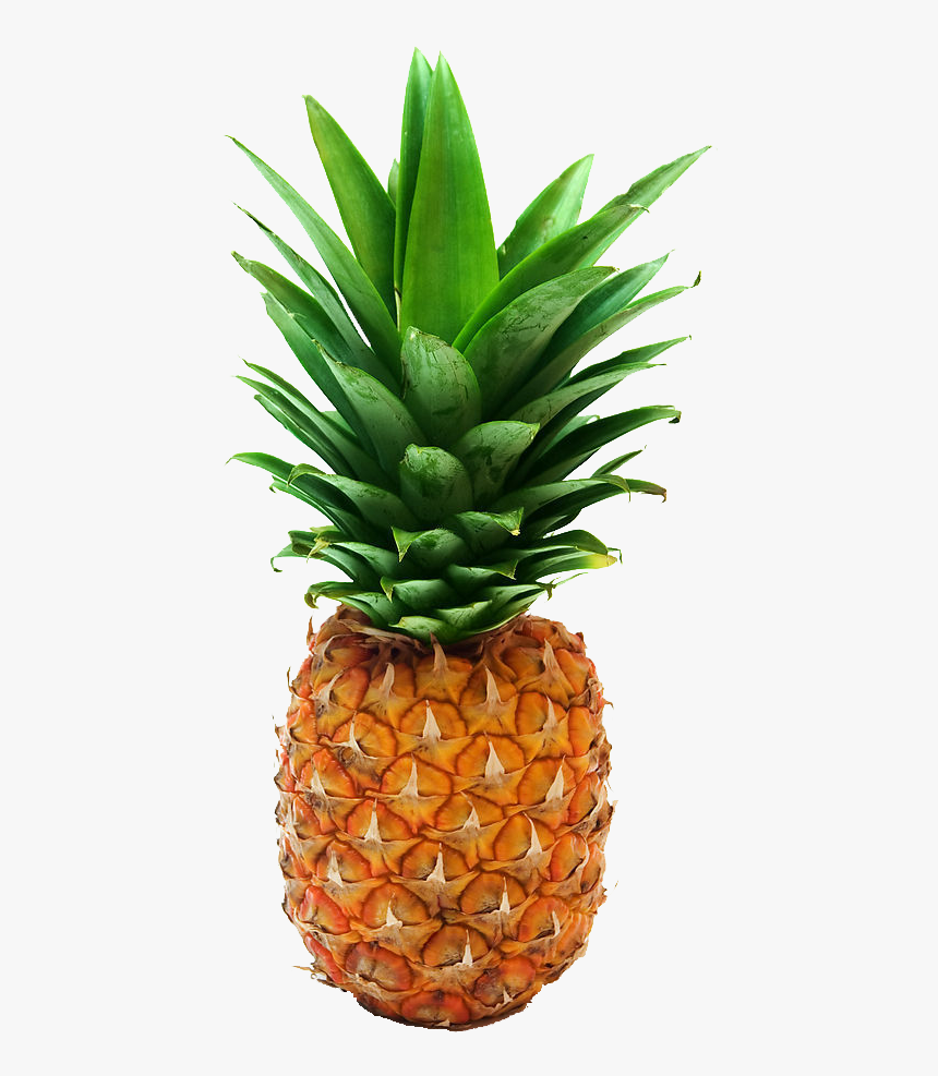 Pineapple Png Transparent, Png Download, Free Download
