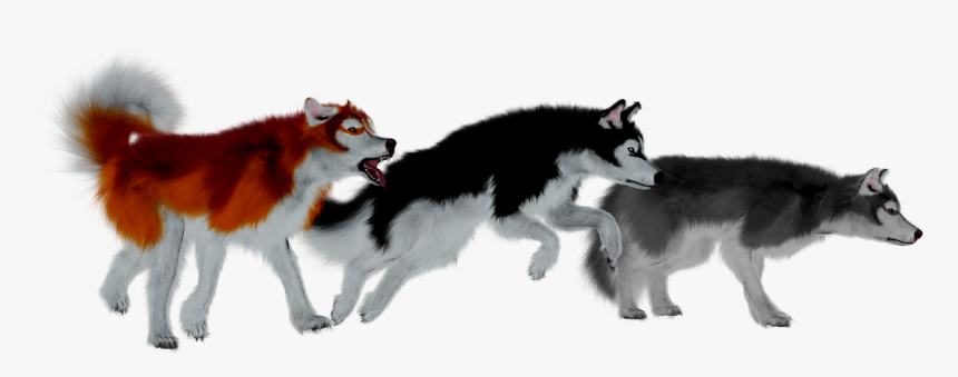 Husky Puppy Png, Transparent Png, Free Download