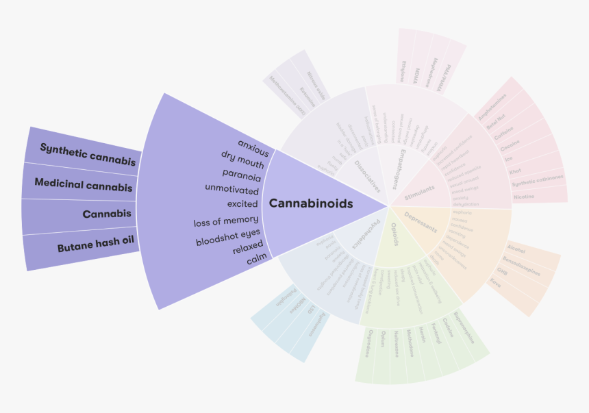 Drug Wheel Segment, HD Png Download, Free Download