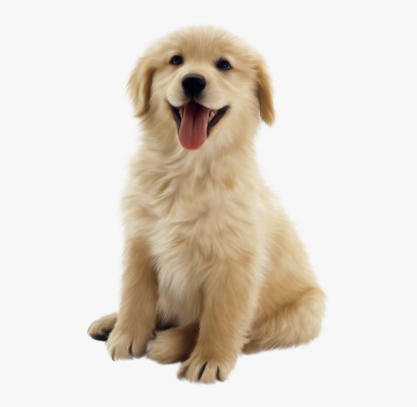 Clip Art Husky Golden Retriever Puppy, HD Png Download, Free Download