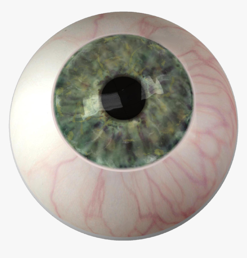 Iris Eye Color Ocular Prosthesis, HD Png Download, Free Download