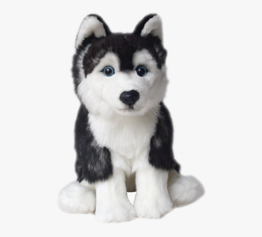 Transparent Husky Puppy Png, Png Download, Free Download