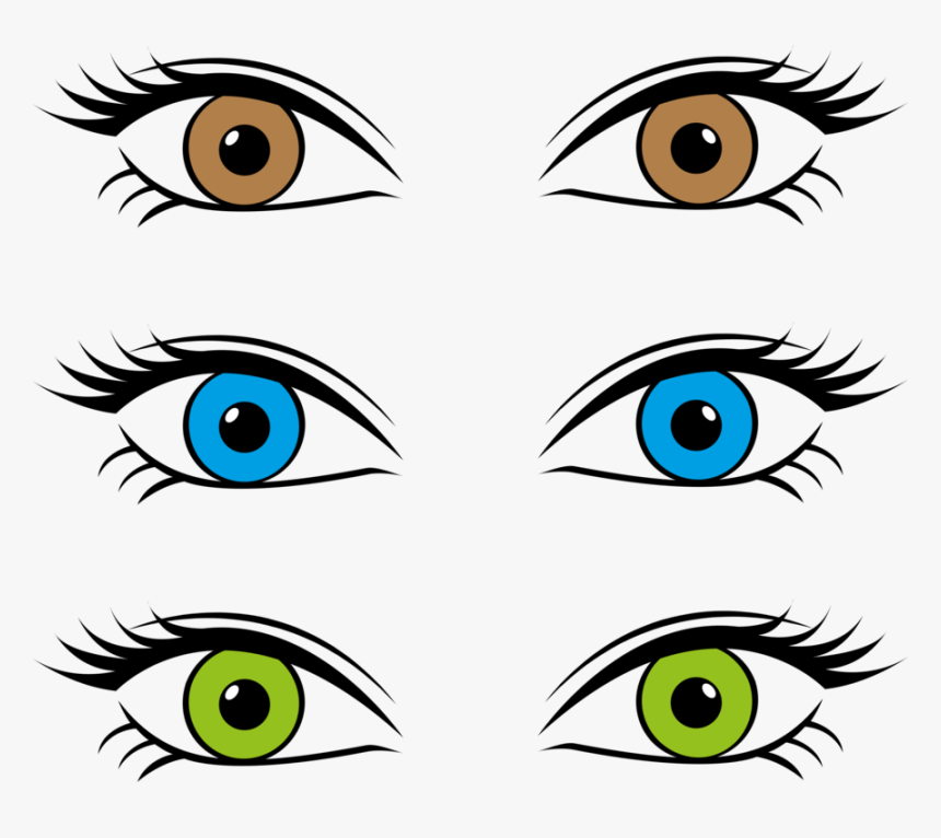 Eye Color Retina Iris, HD Png Download, Free Download
