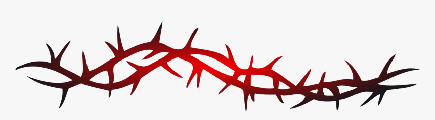 Barb Wire Frame Png, Transparent Png, Free Download