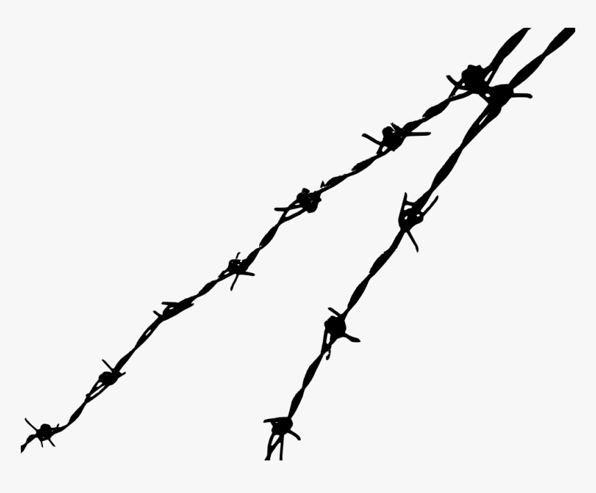 Barbed Wire, HD Png Download, Free Download