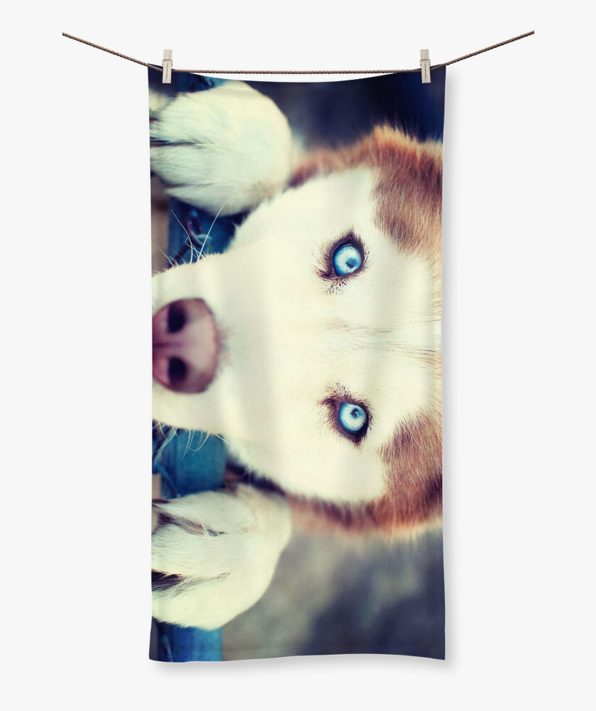 Husky Puppy Png, Transparent Png, Free Download