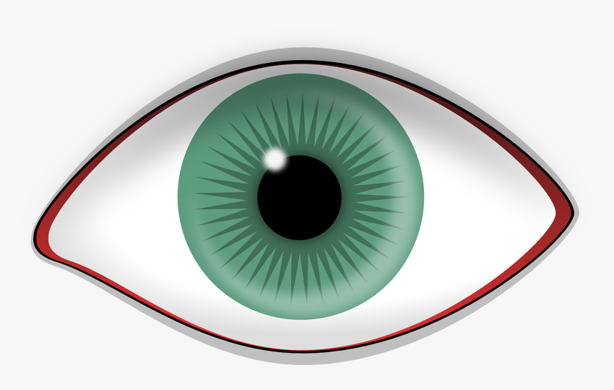 Eye Iris Png, Transparent Png, Free Download