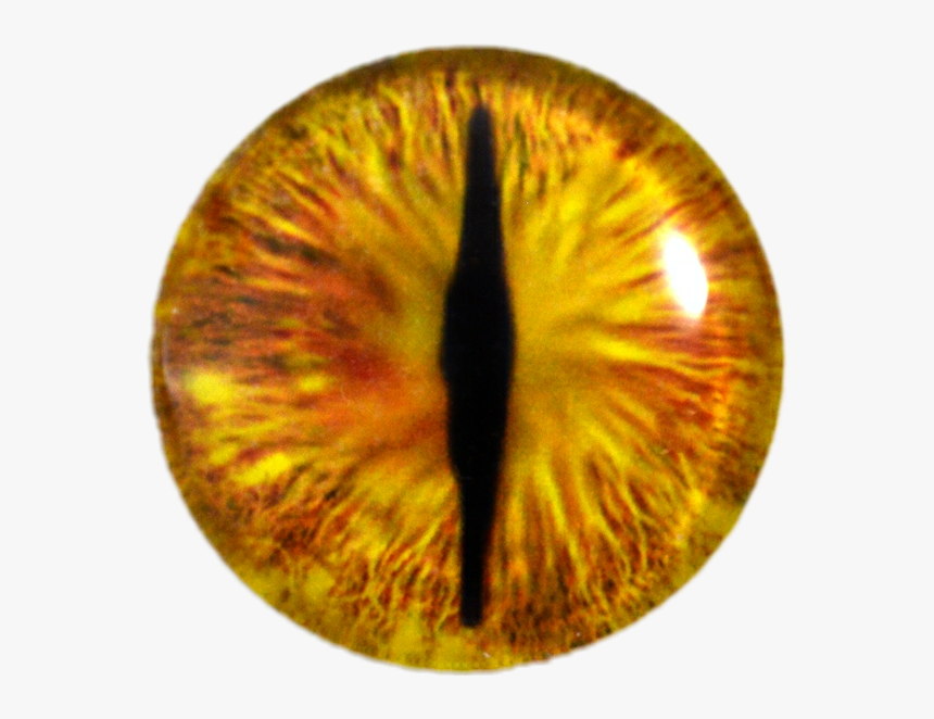 #cateye #eye #iris, HD Png Download, Free Download