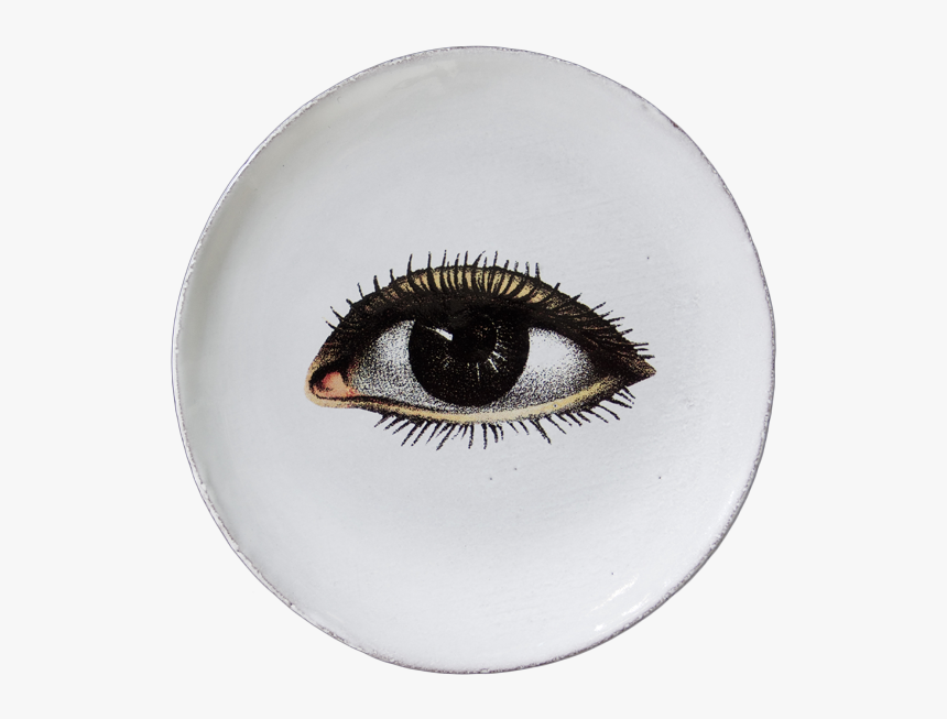 Eye Iris Png, Transparent Png, Free Download