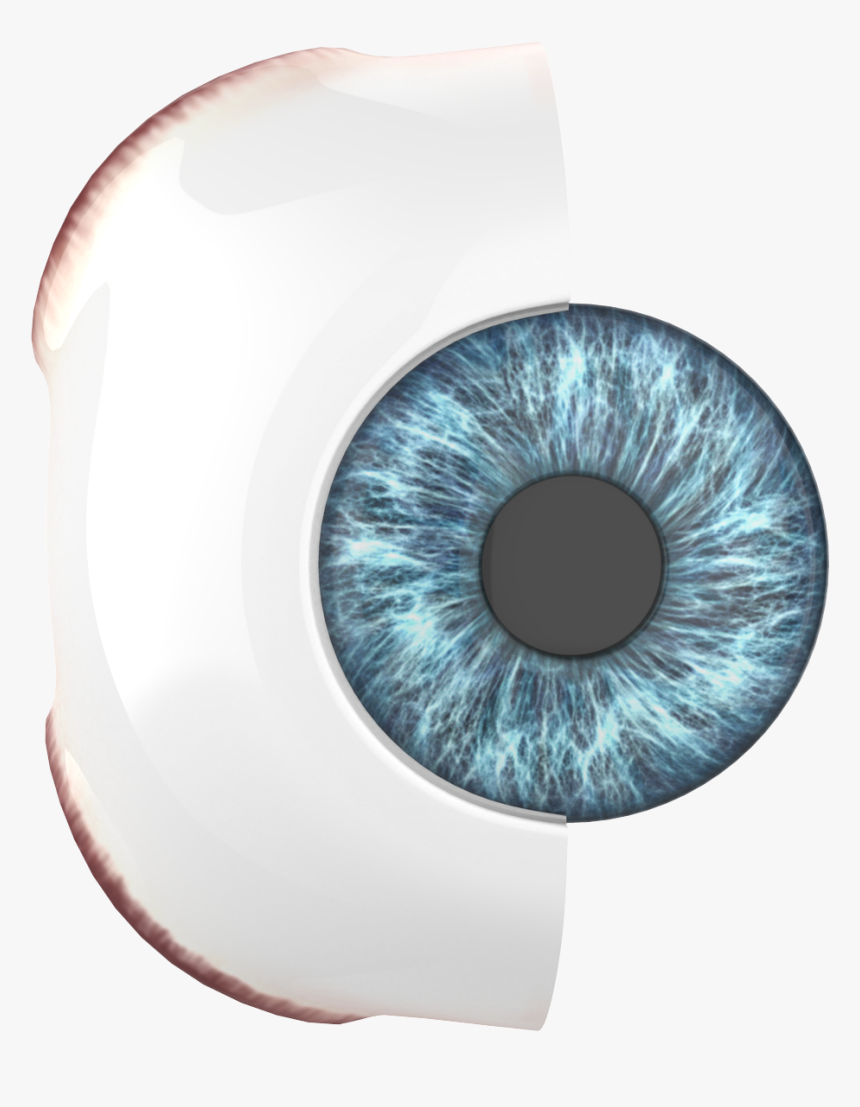 Eye Iris Png, Transparent Png, Free Download