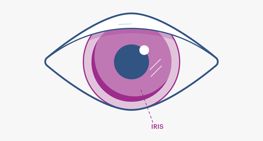 Eye Iris Png, Transparent Png, Free Download