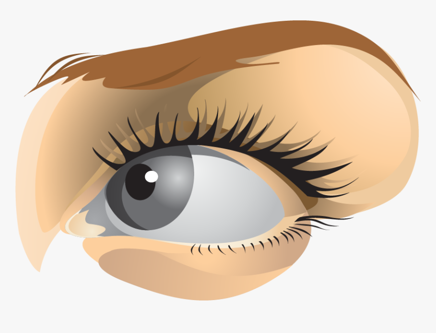 Eye Iris Png, Transparent Png, Free Download