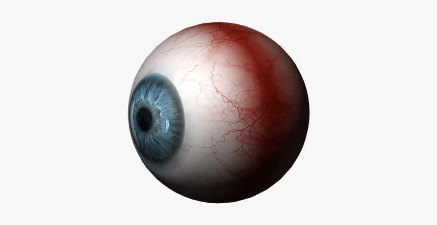 Eye, Blue, People, Look, Pupil, Iris, View, Blindness, HD Png Download, Free Download