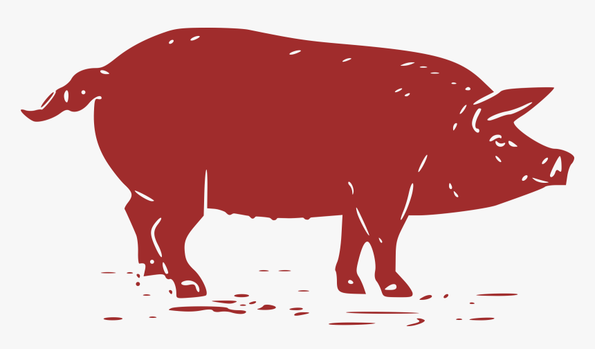 Barbecue Swig & Swine Pulled Pork Domestic Pig, HD Png Download, Free Download