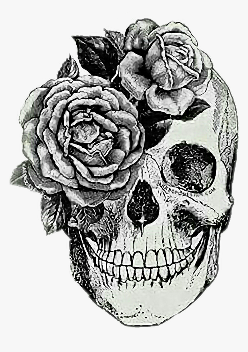 Anatomical Skull Tattoo , Png Download, Transparent Png, Free Download