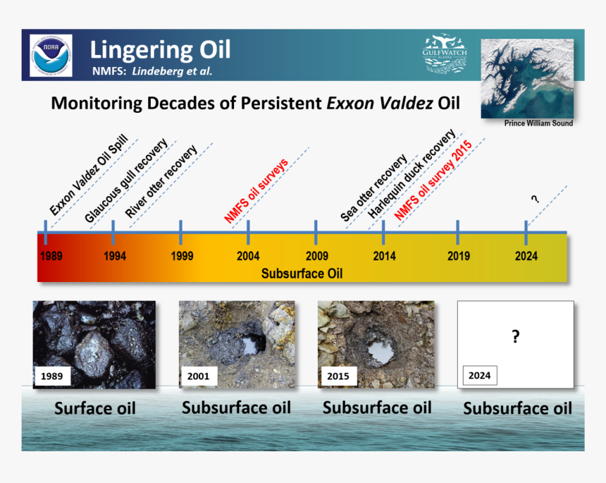 Lindgering Oil In Prince Williams Sound Graphic, HD Png Download, Free Download