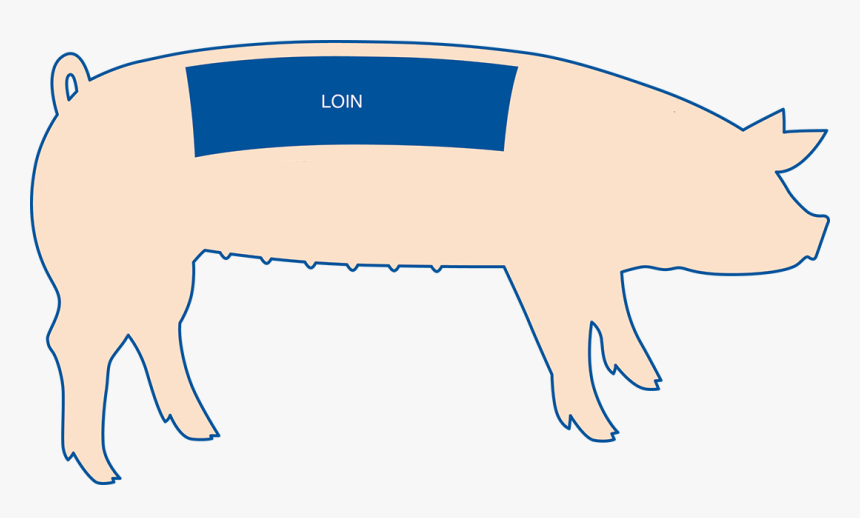 The Loin Roast Comes From The Area Of The Pig Between, HD Png Download, Free Download