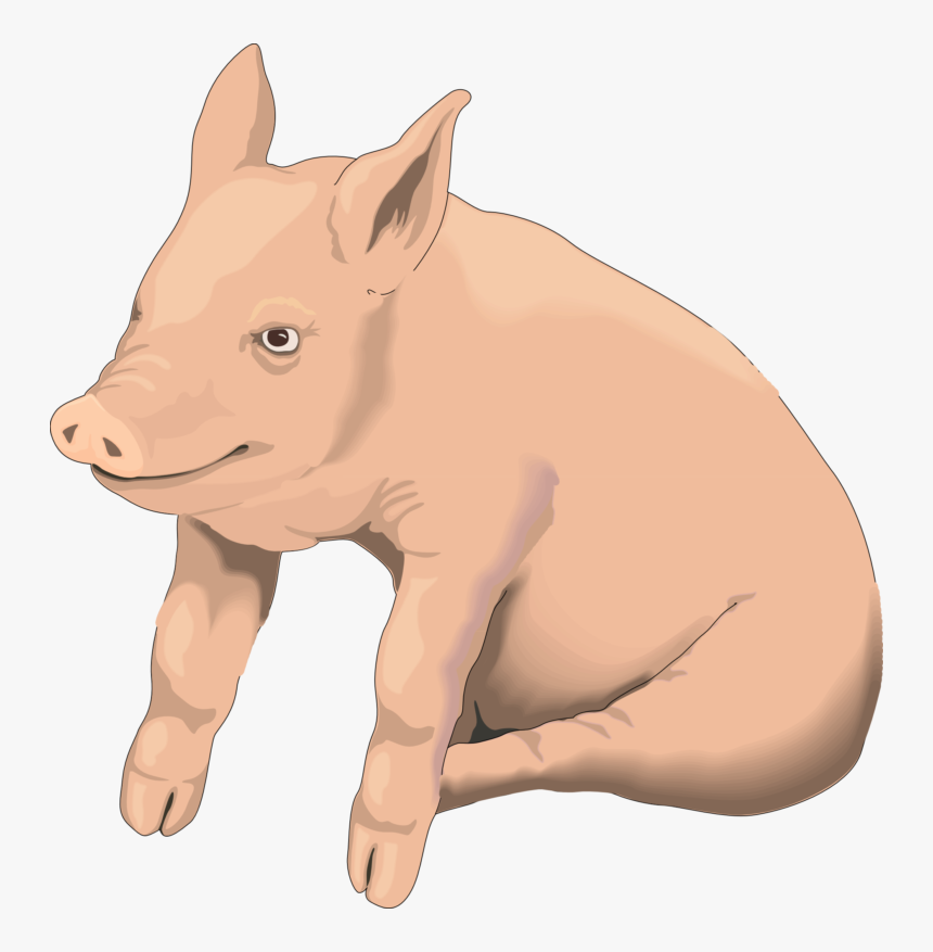Pig Clip Art Portable Network Graphics Openclipart, HD Png Download, Free Download