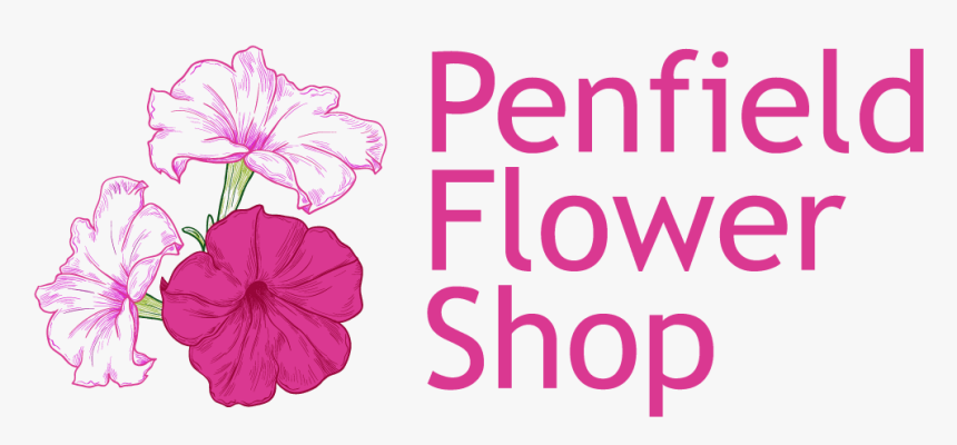 Penfield Flower Shop - Hawaiian Hibiscus, HD Png Download, Free Download