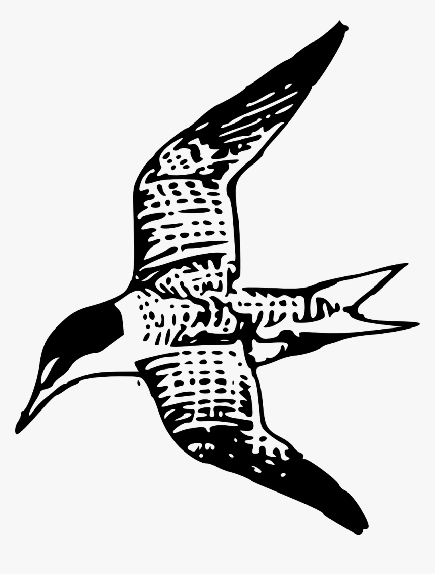 Shorebird Flying Clipart, HD Png Download, Free Download