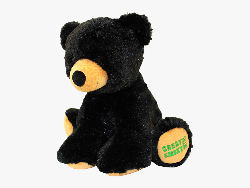 black teddy bear pics