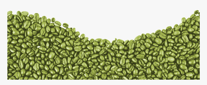 Transparent Coffee Bean Png - Green Coffee In Qatar, Png Download, Free Download