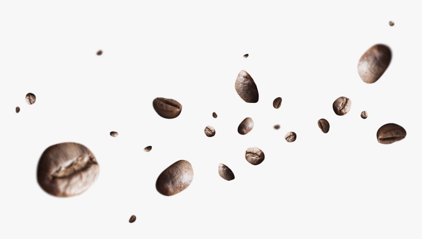 Flying Coffee Beans Png, Transparent Png, Free Download