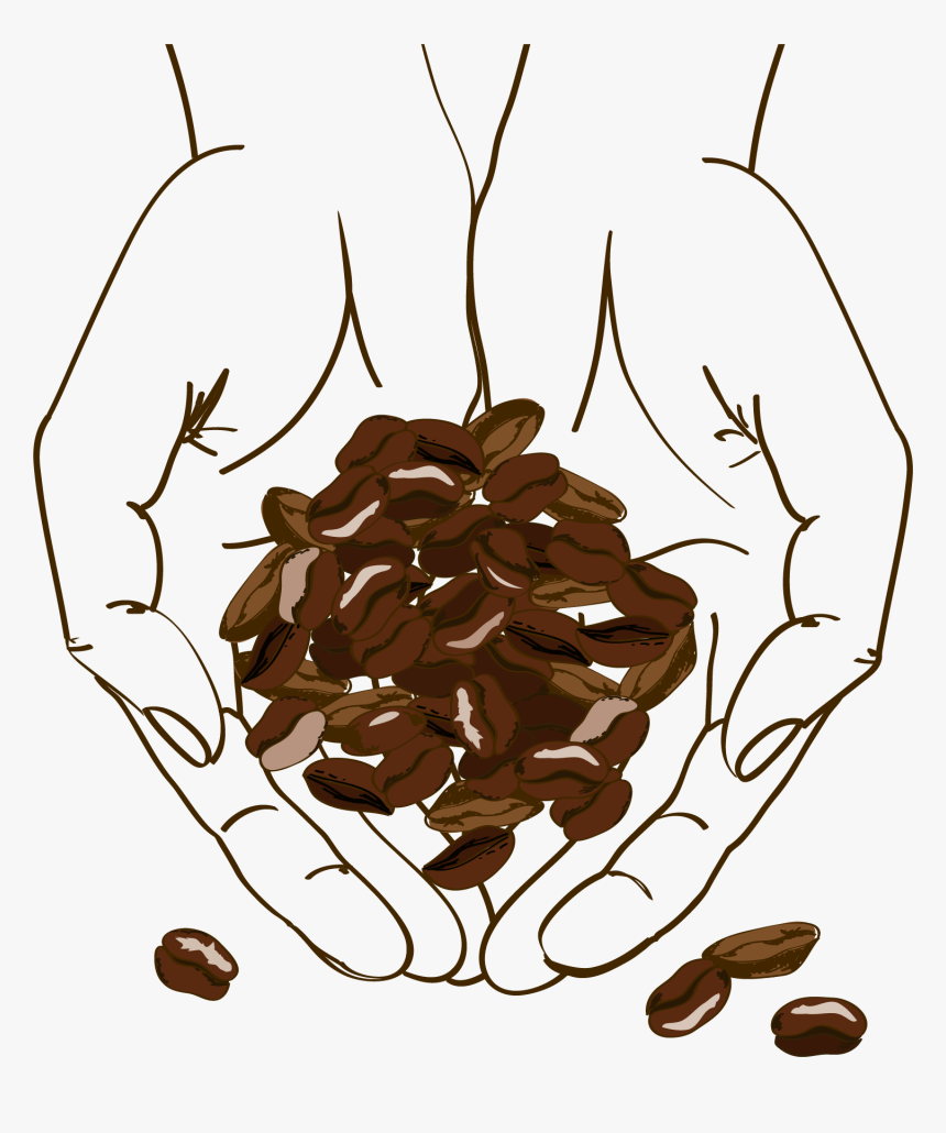 Clip Art Cafe Brown Holding Beans - Coffee Bean Illustration Png, Transparent Png, Free Download