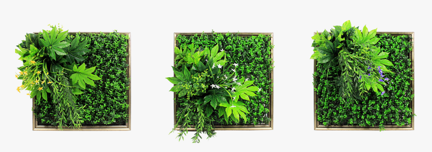 Green Wall Hanging Png, Transparent Png, Free Download