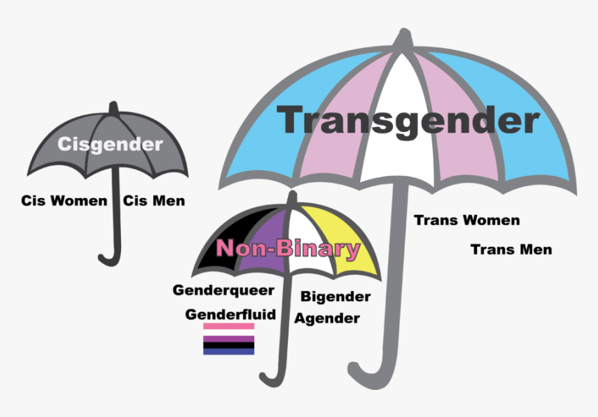 A Depiction Of The Transgender Umbrella - Genderfluid Non Binary Hairstyles, HD Png Download, Free Download