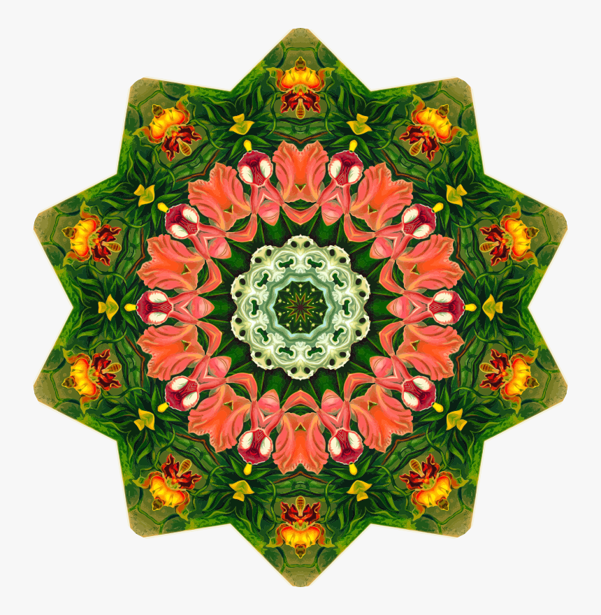 Orchidae - Kaleidoscope, HD Png Download, Free Download