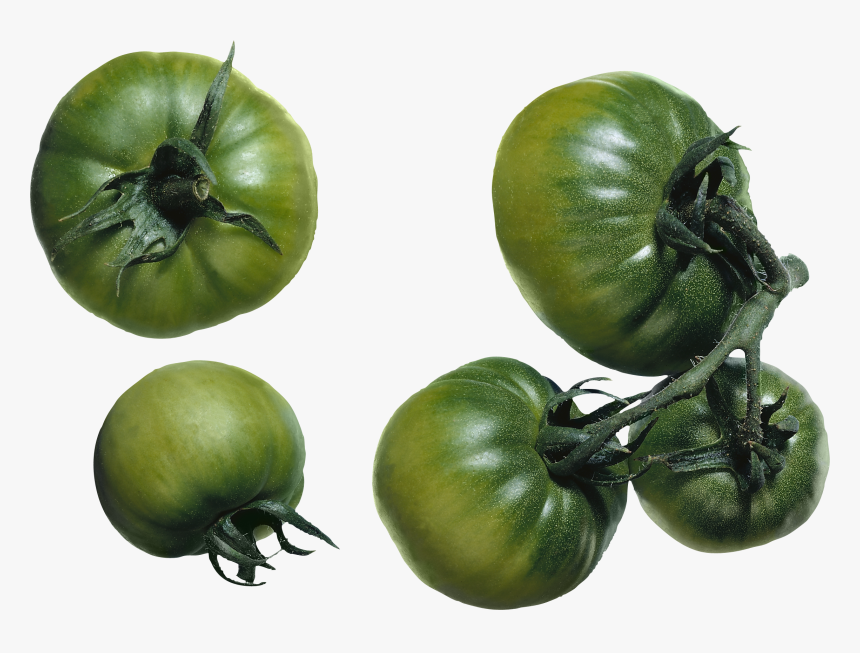 Background Tomato Transparent - Green Tomato Png, Png Download, Free Download