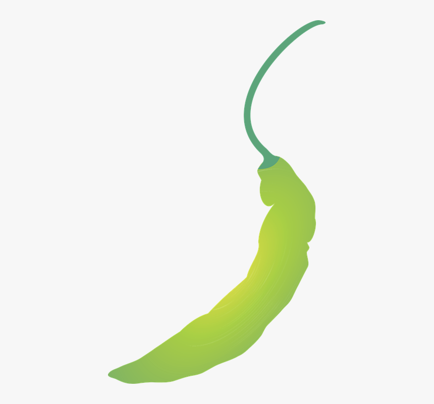 Pepper-scent, Capsicum Chinense, Jacquim, Pepper - Imagem De Pimenta De Cheiro, HD Png Download, Free Download