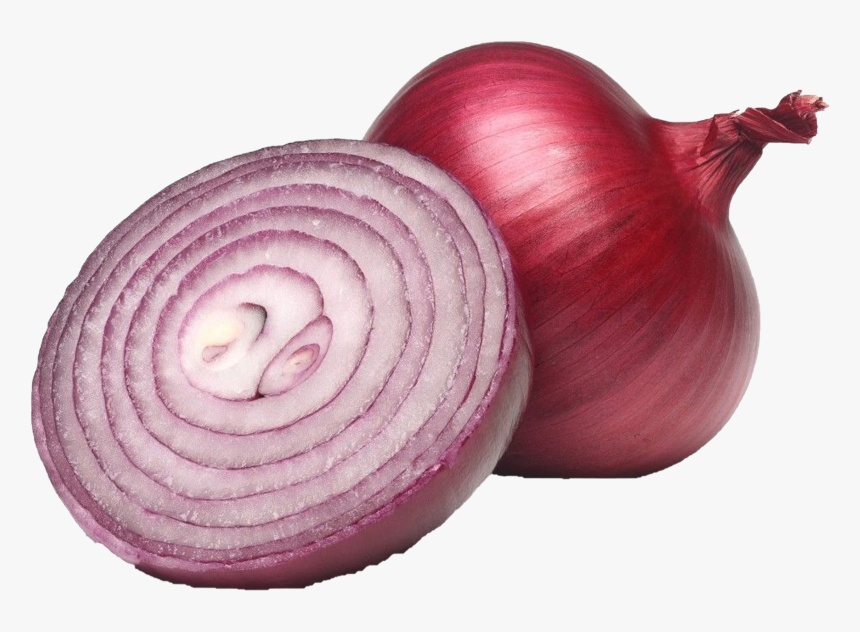 Onion Sliced In Half, HD Png Download, Free Download