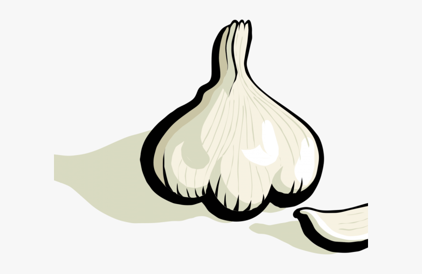 Garlic Clove Clip Art, HD Png Download, Free Download