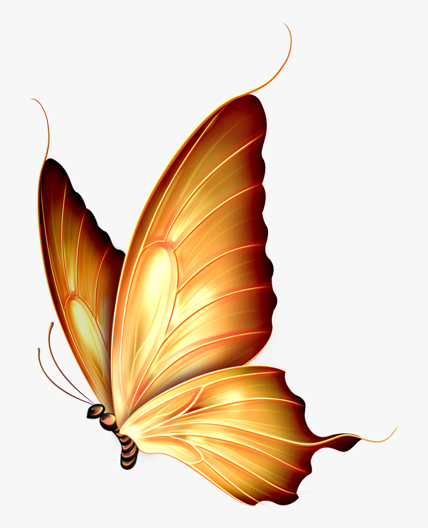 Фото, Автор Ya - Gold Butterfly Png, Transparent Png, Free Download