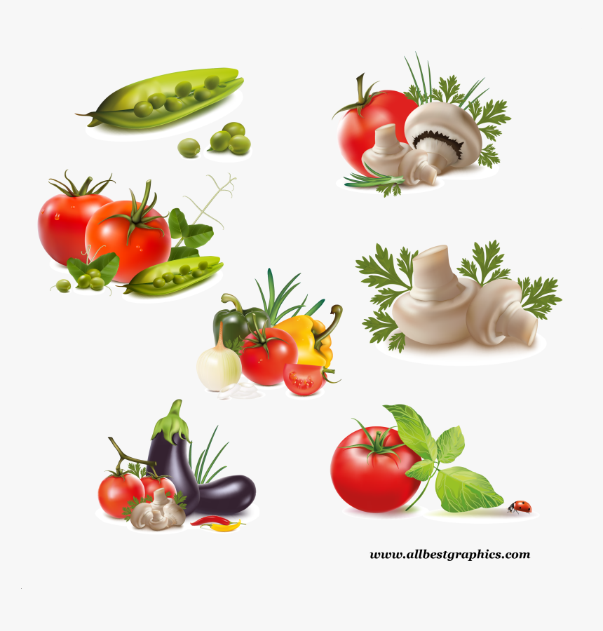 Bush Clipart Png, Transparent Png, Free Download