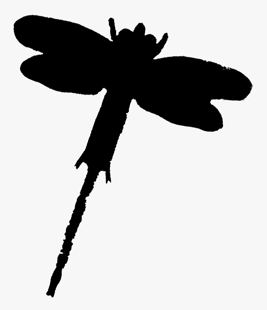 Insect Butterfly Clip Art Line Silhouette - Net-winged Insects, HD Png Download, Free Download